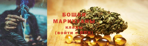 прущие грибы Зеленодольск