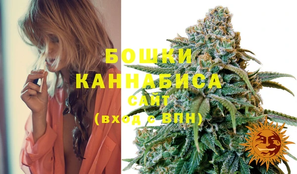 прущие грибы Зеленодольск
