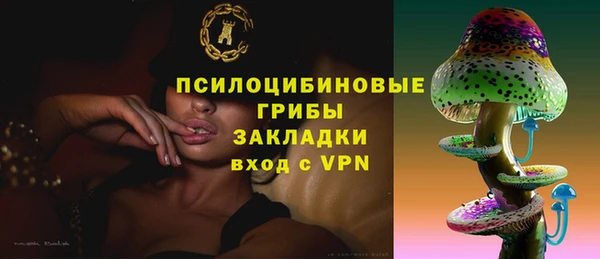 МДПВ Зеленокумск