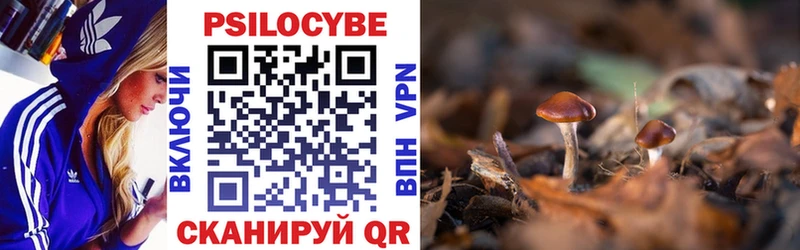 Купить закладки  Кириллов  Галлюциногенные грибы Magic Shrooms 