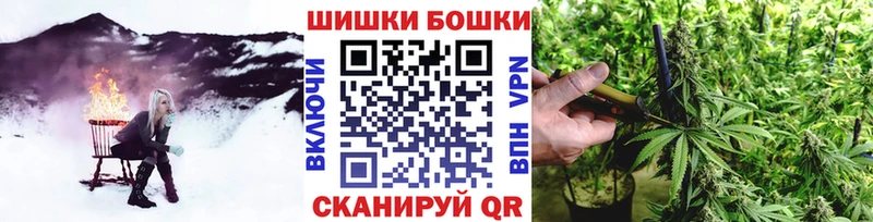 Бошки Шишки SATIVA & INDICA  Купить закладки  Кириллов 